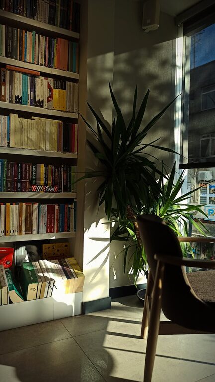 Tips for Creating a Cozy and Inviting Reading Nook at Home