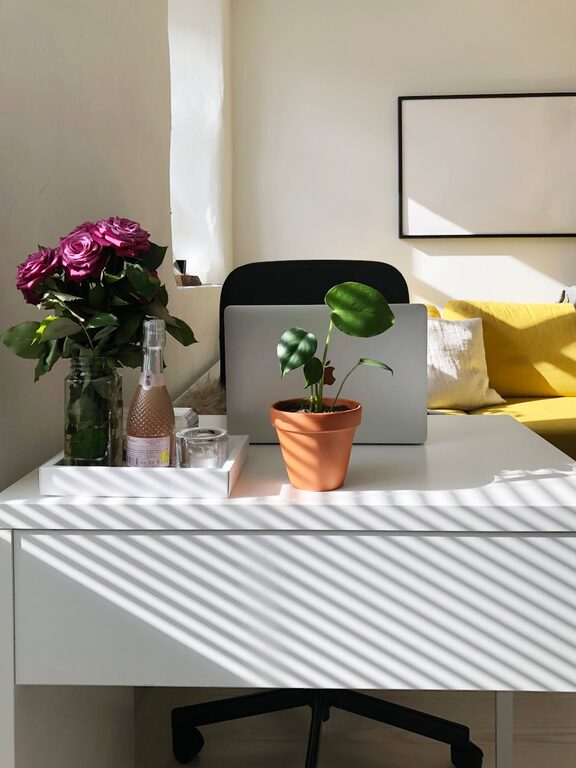 Tips for Creating a Cozy and Productive Home Office Environment
